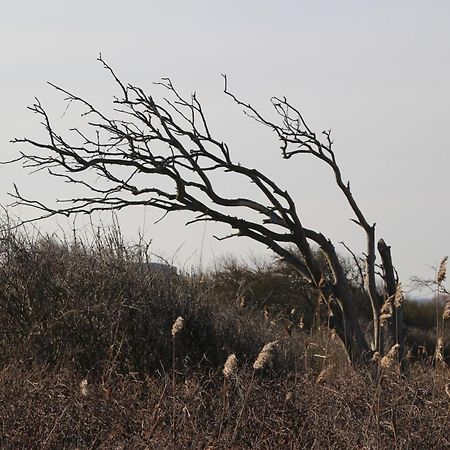 Meine Fischerhuette Börgerende-Rethwisch Exteriér fotografie