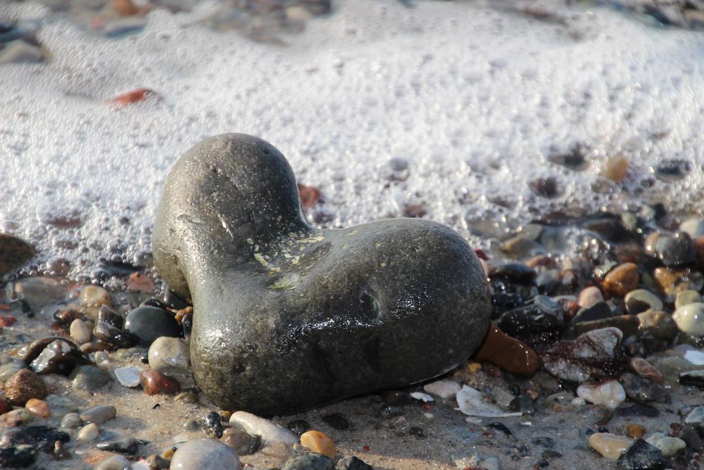 Meine Fischerhuette Börgerende-Rethwisch Exteriér fotografie